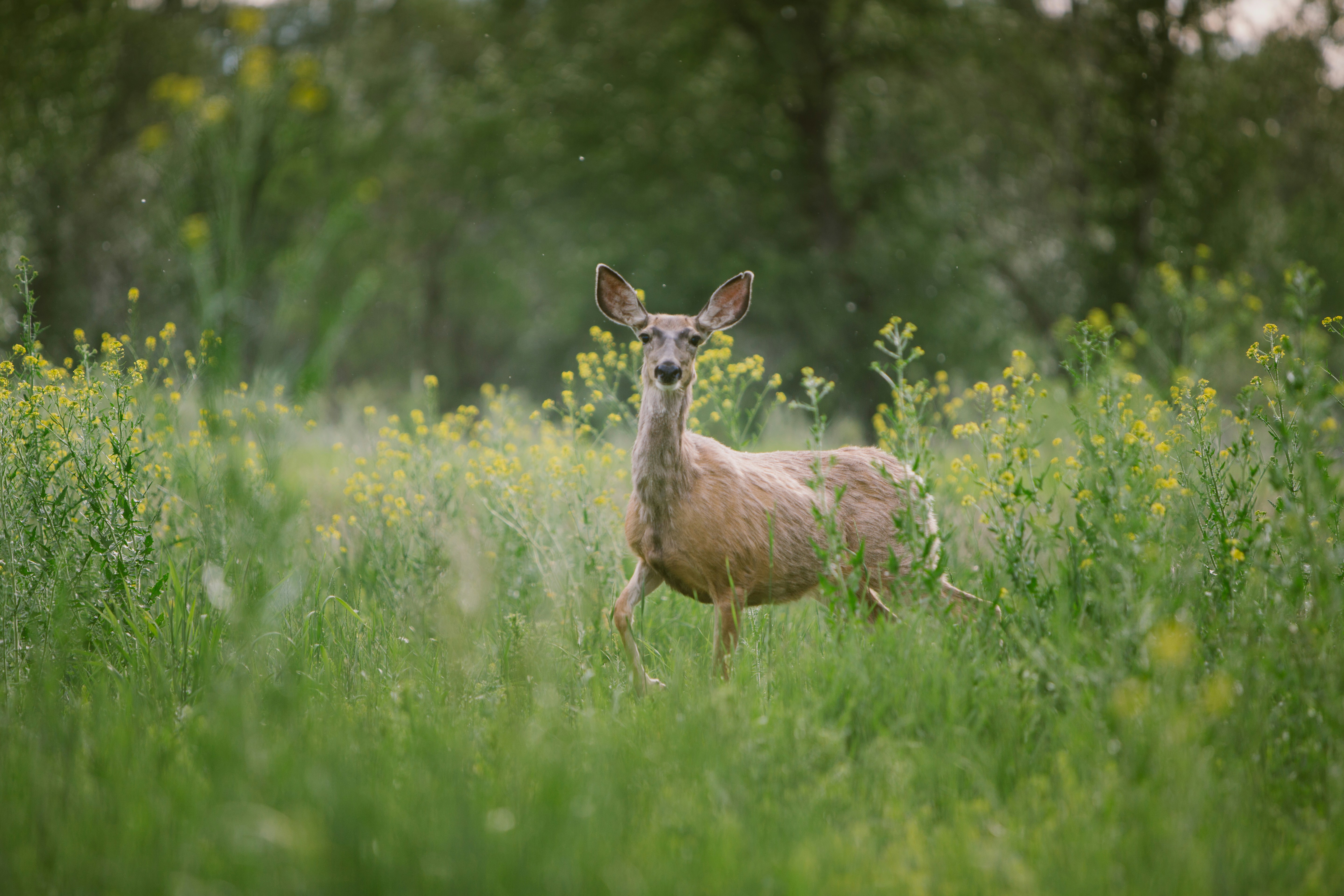 Photo by jackiehutch