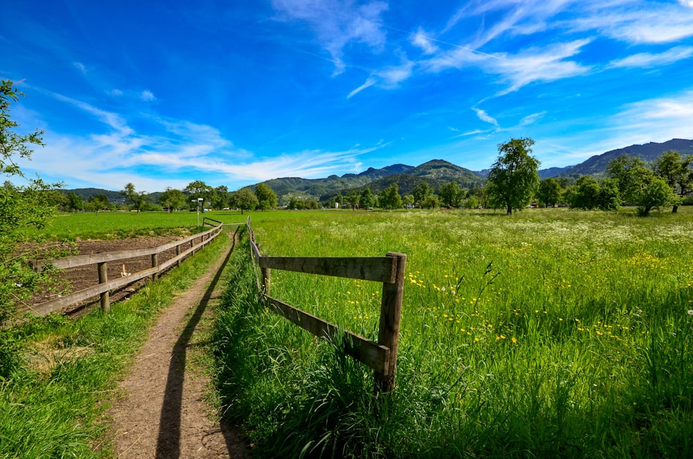 dirt pathway between green grass field