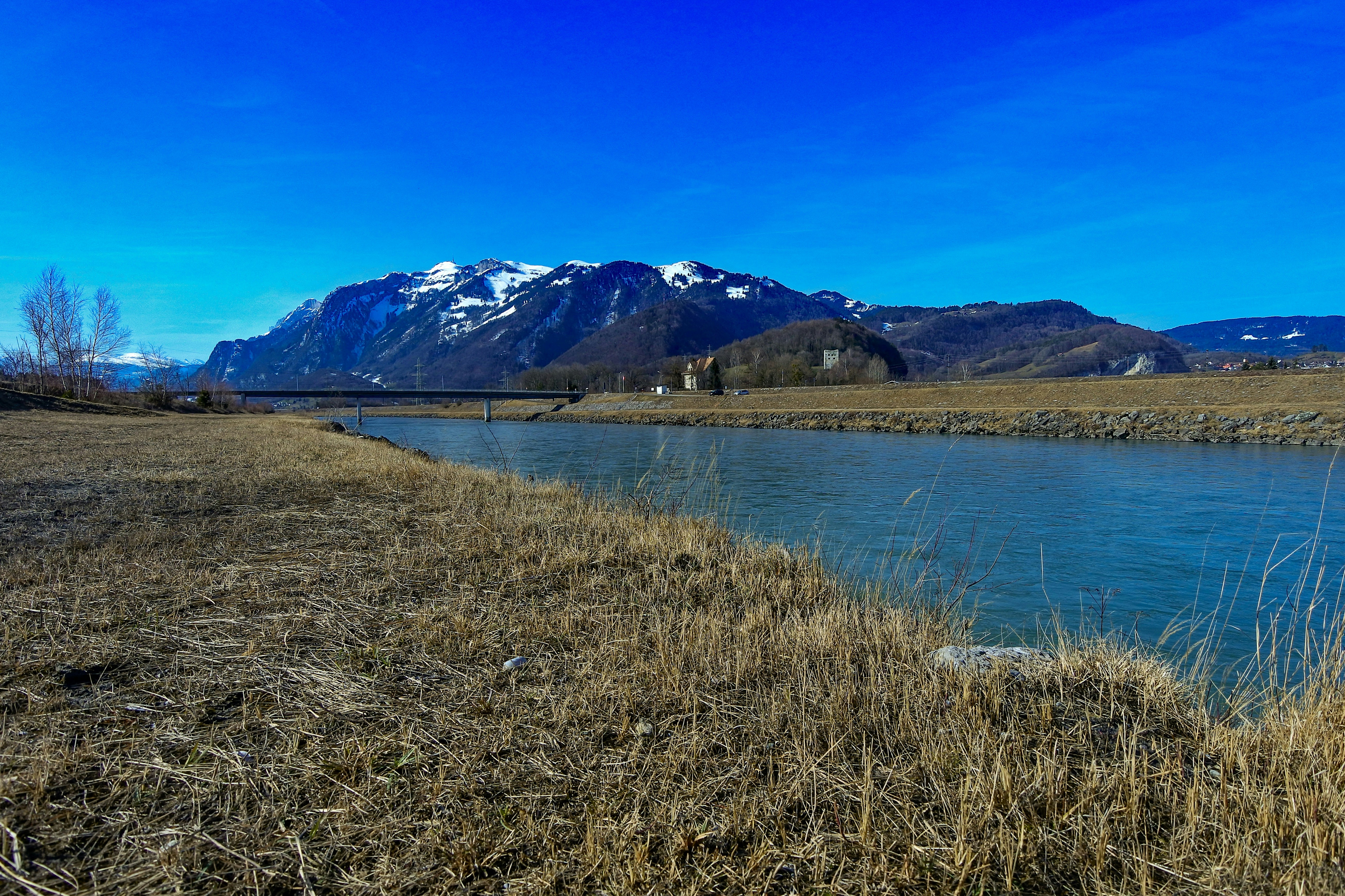 grass field near body of water