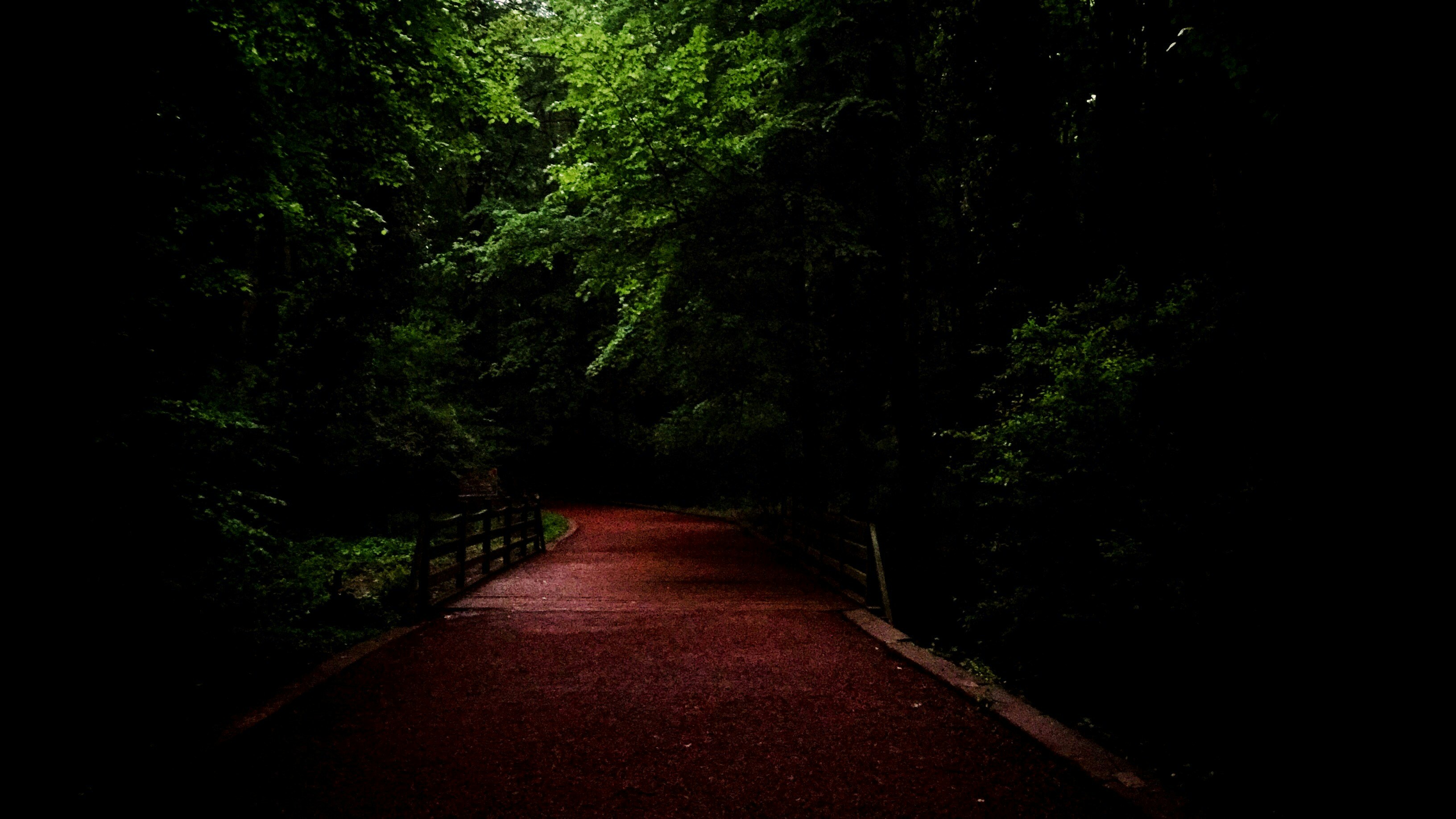 Photo by papamidnite