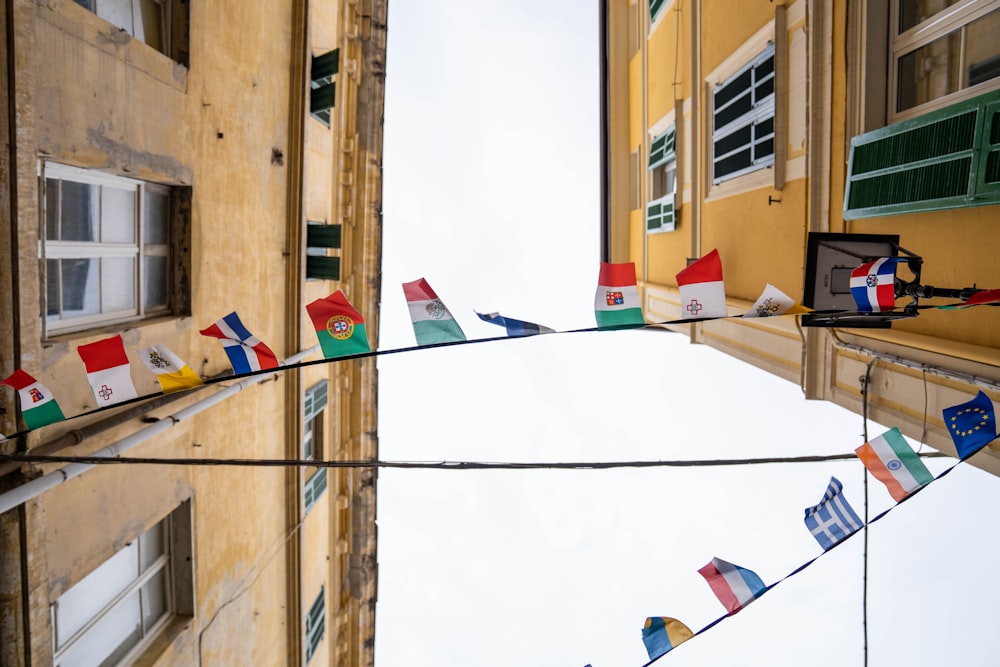 assorted-color flags