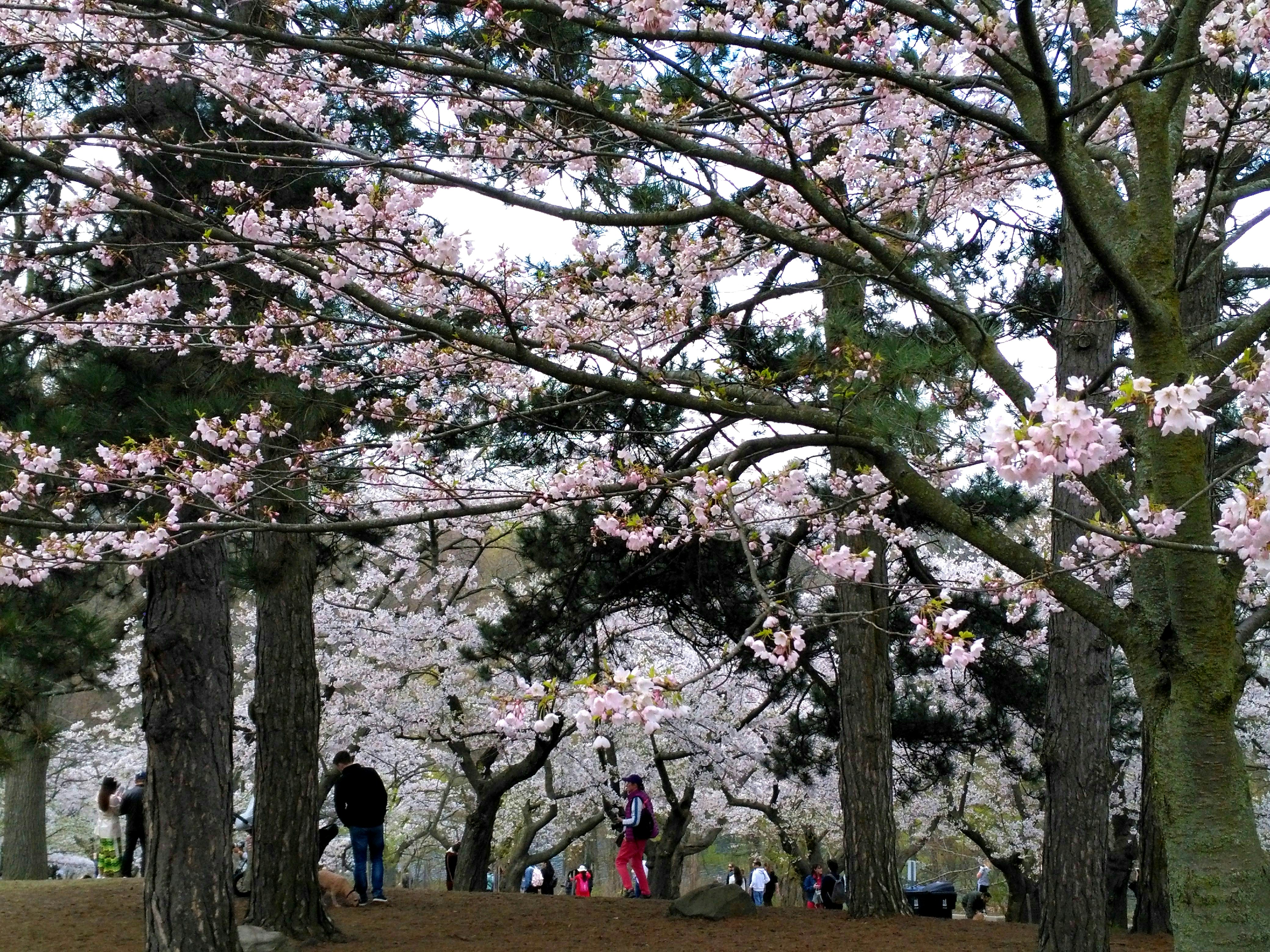 Photo by rf_grafixchick