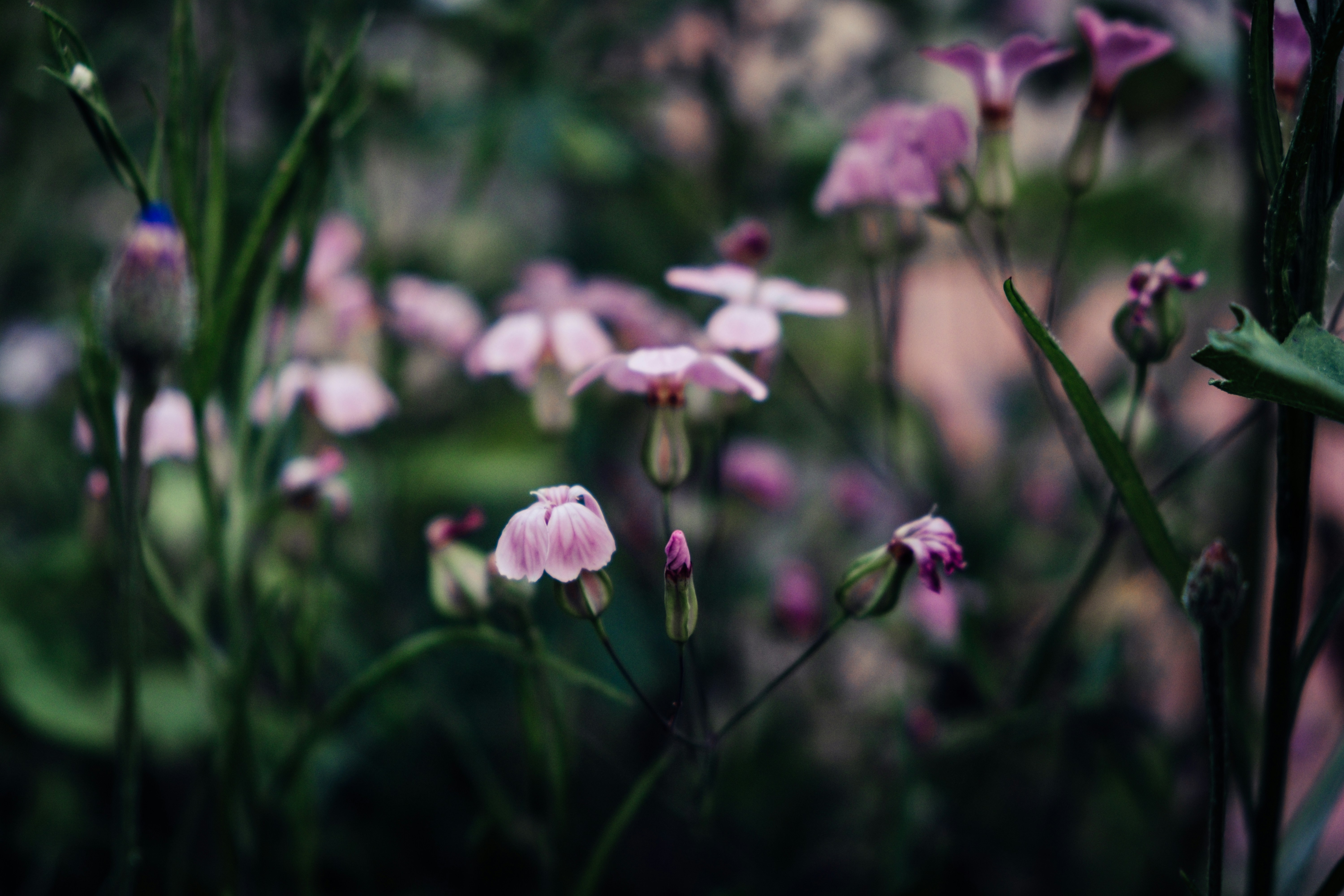 Photo by moritz_photography