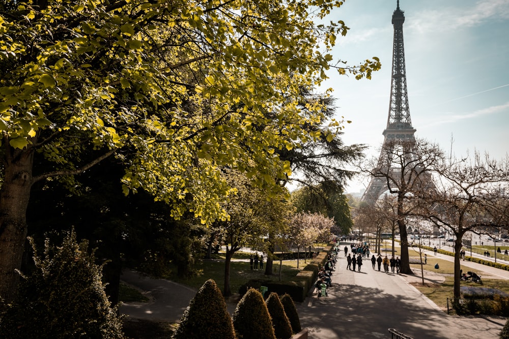 Eiffel tower on focus photography