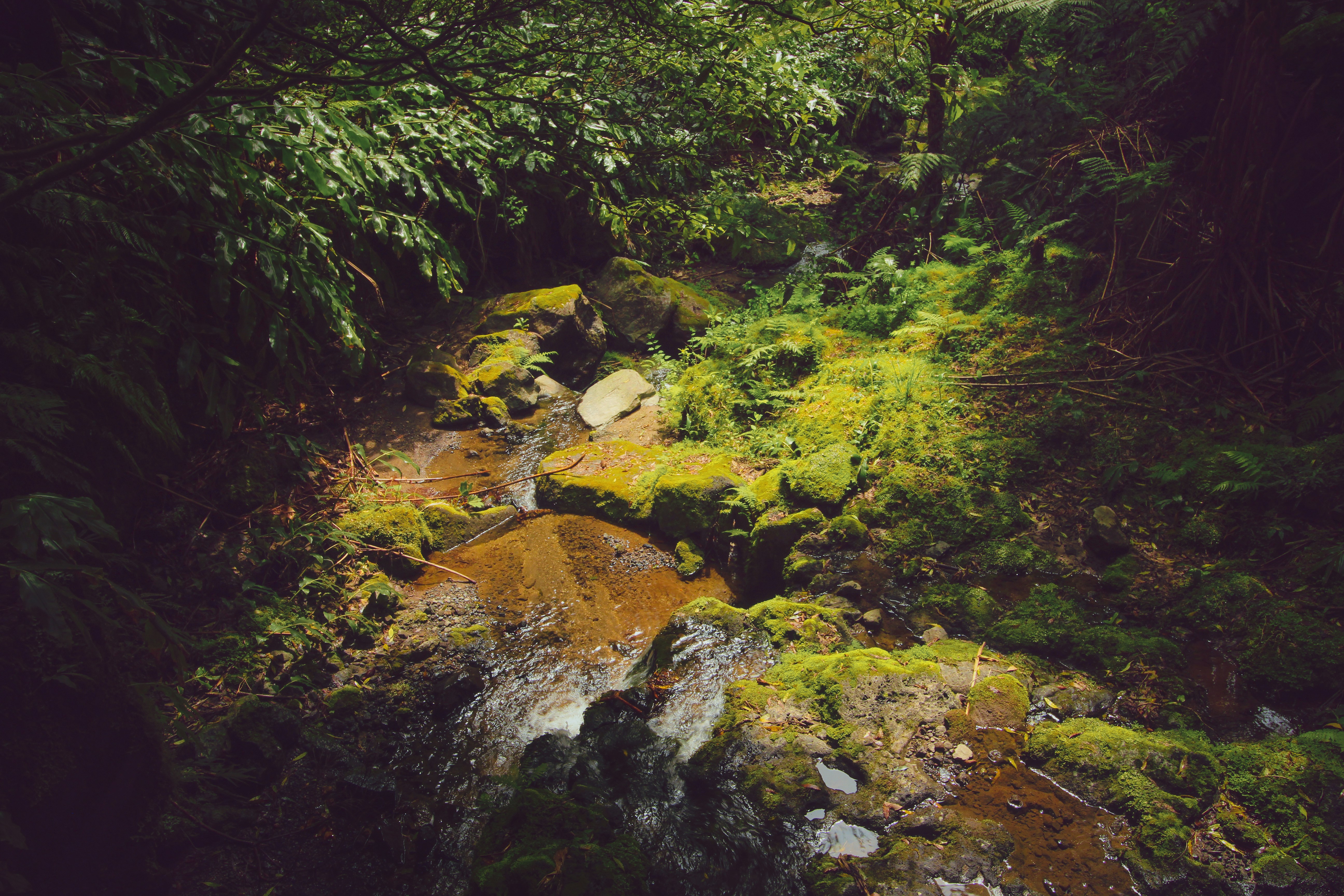 Photo by shottrotter