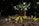 Young green seedlings are sprouting from rich, dark soil in a garden or plant nursery environment. In the background, out of focus, there is a larger plant in a terracotta pot surrounded by lush trees, suggesting a healthy and vibrant growth setting.