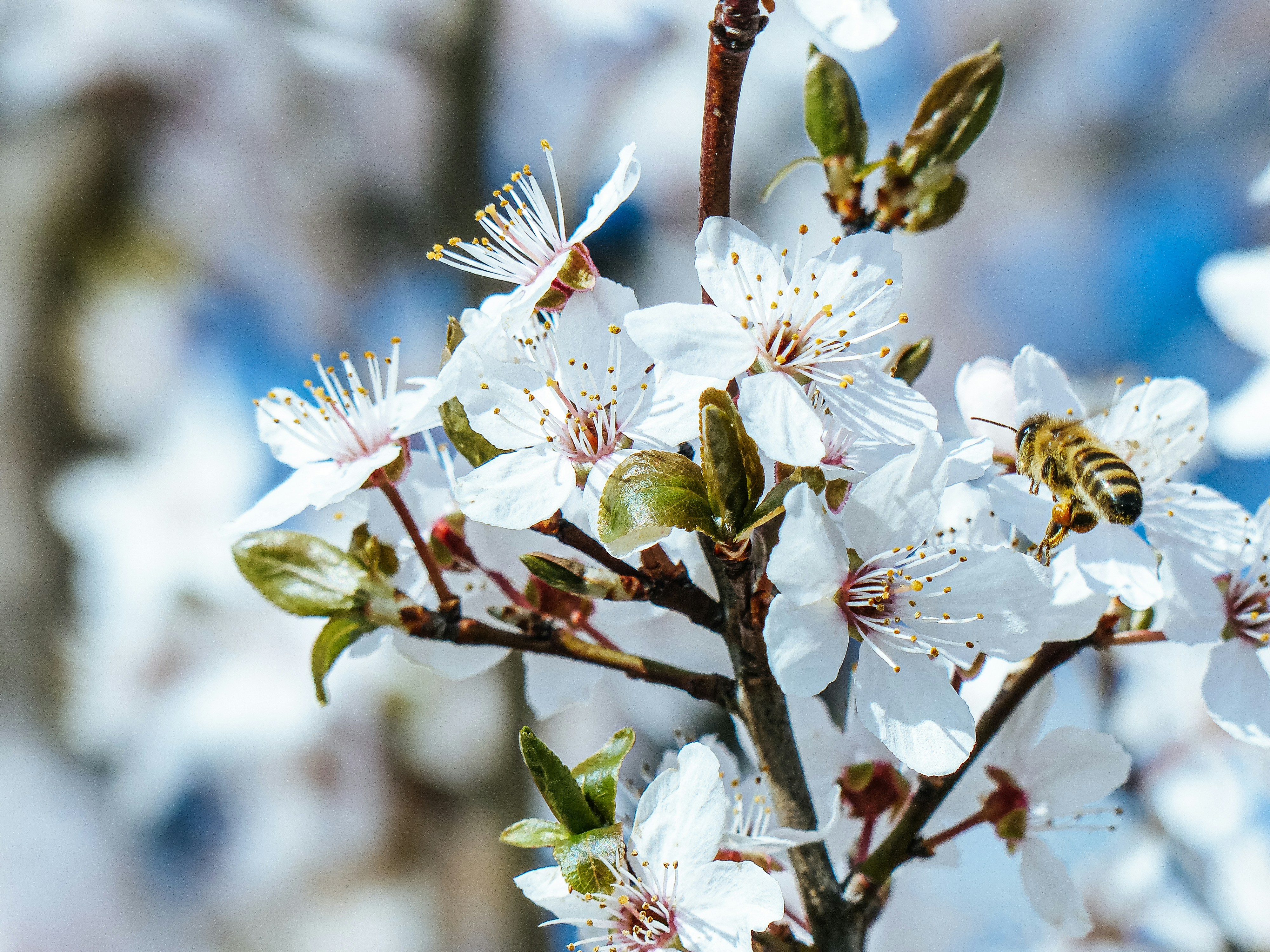 Photo by moritz_photography