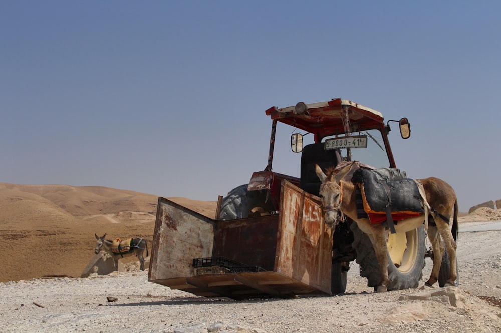 brown and black tractor under blue sky