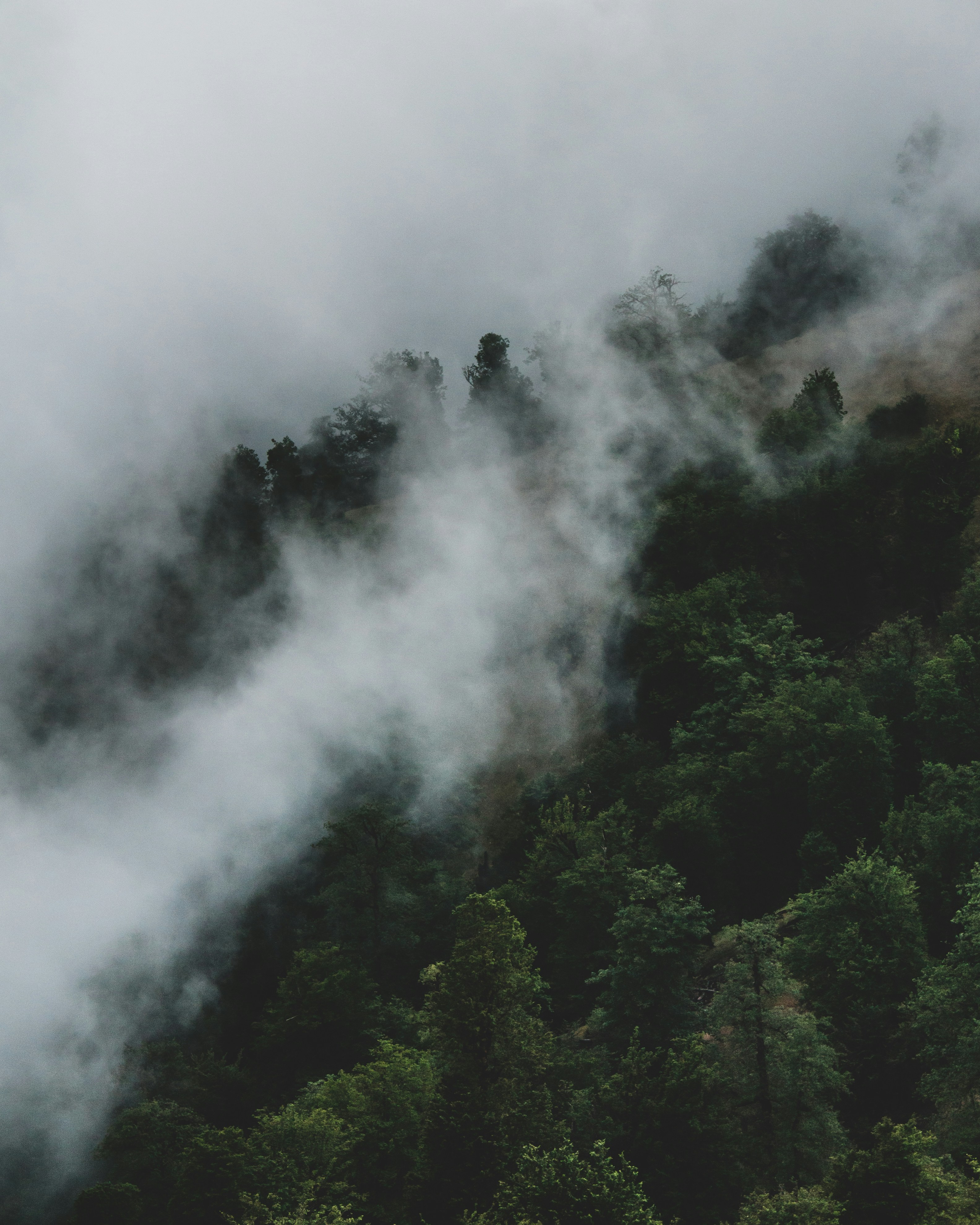 Photo by m_amirahmadi