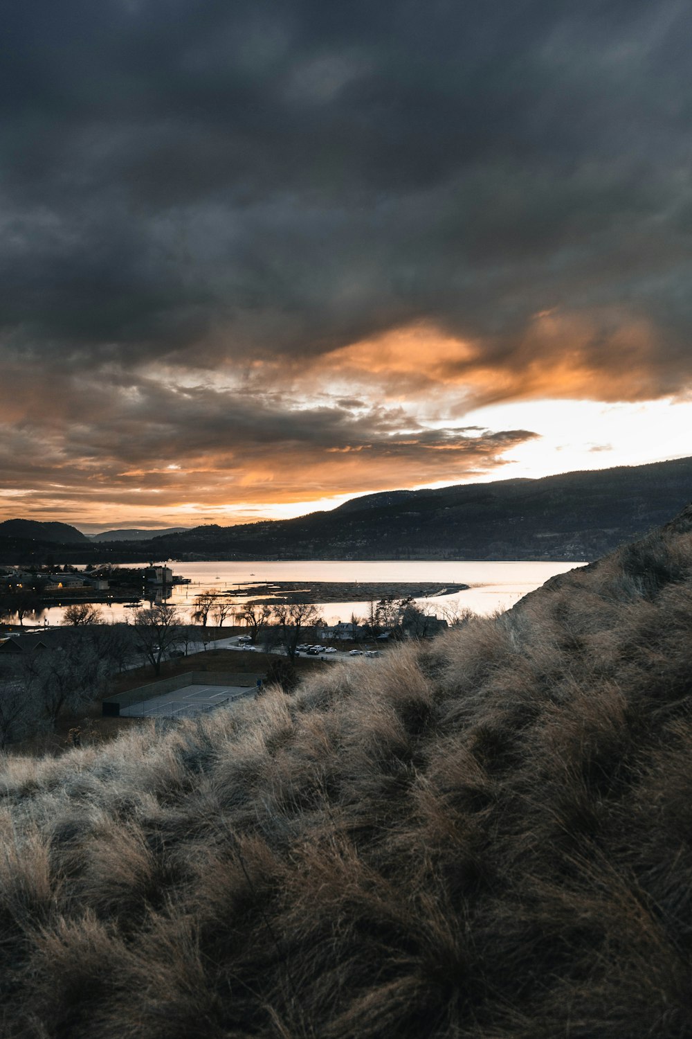 brown grass under gray clouds