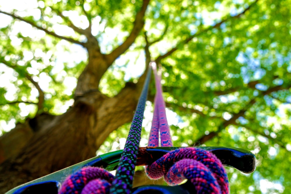 a pair of scissors hanging from a tree