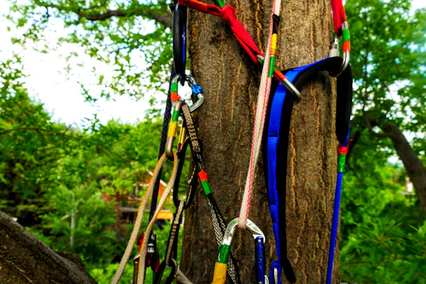 Cultural stay school trip