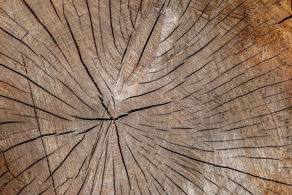 brown wooden surface close-up photography