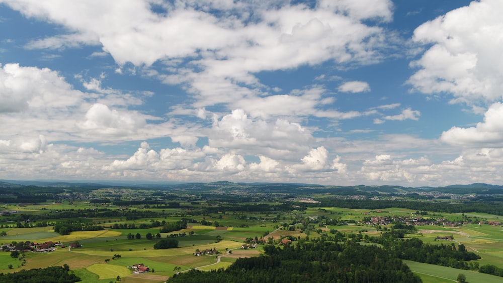 aerial photography of grass field with trees