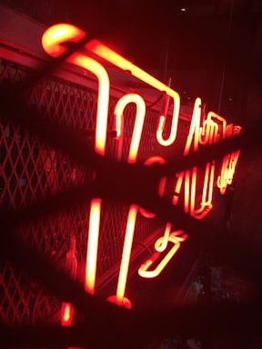 A brightly illuminated red neon sign with stylized script, placed against a mesh or grid background. The neon tubes are prominently glowing and seem partially obscured by overlapping shadow patterns.