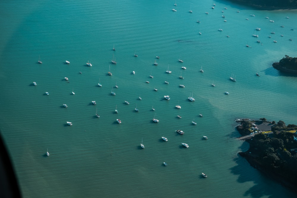 white sailboat lot on body of water