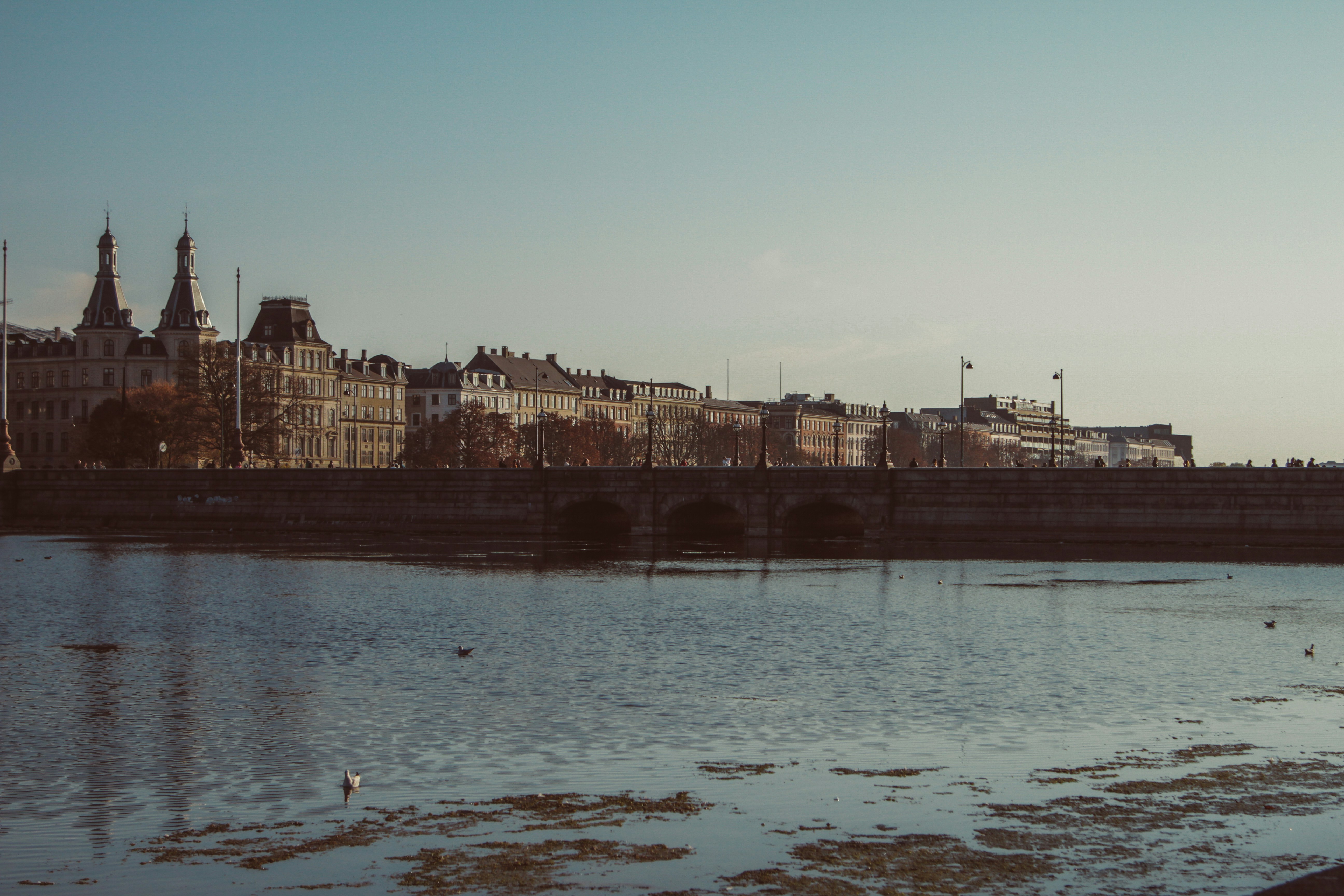 Photo by silasvanovereem