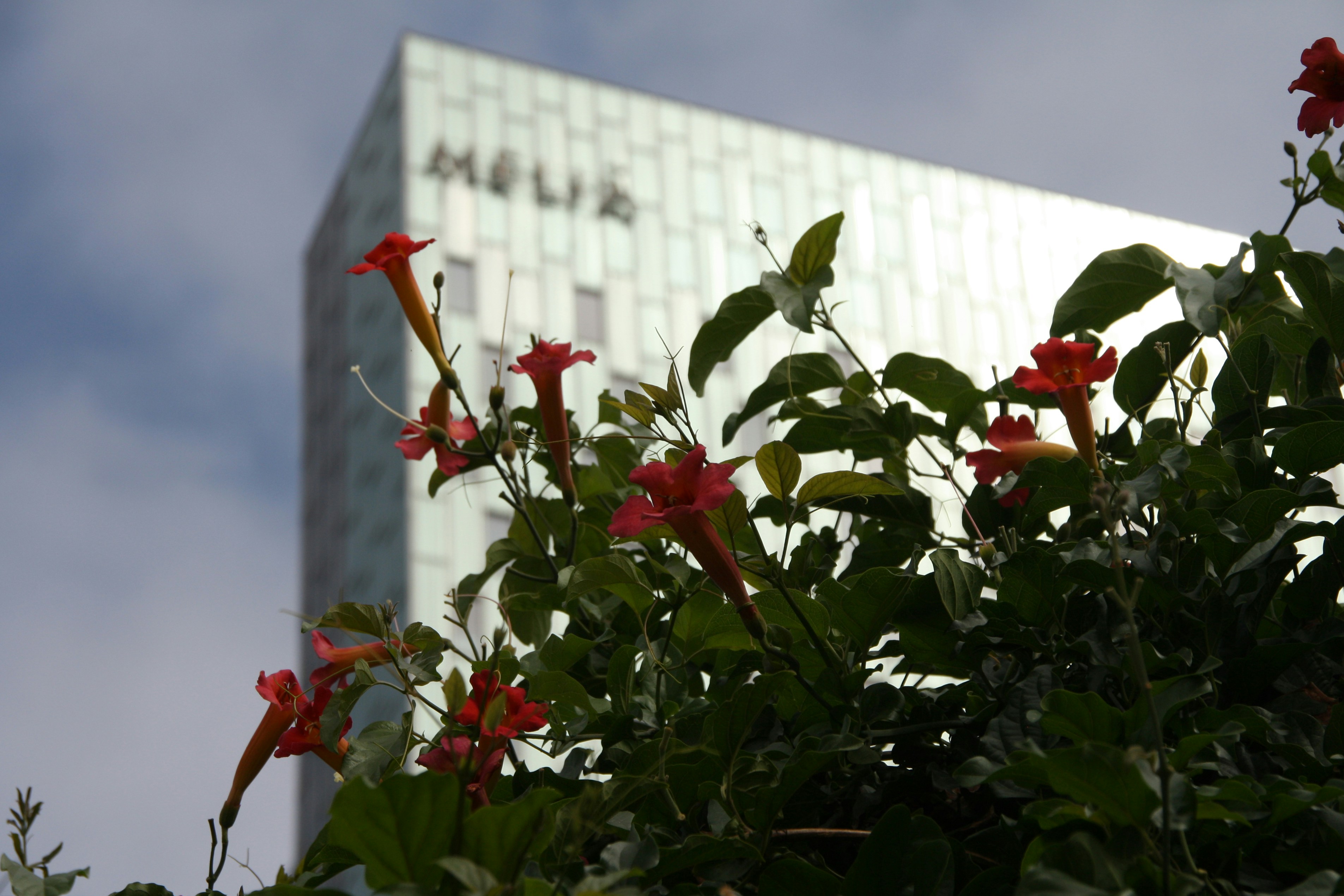 Dembele barcelona jersey