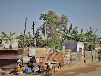 two person selling good near a tree during daytime