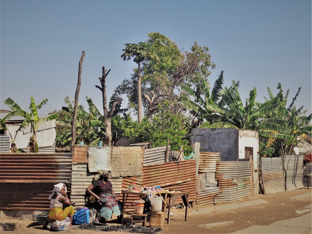 two person selling good near a tree during daytime