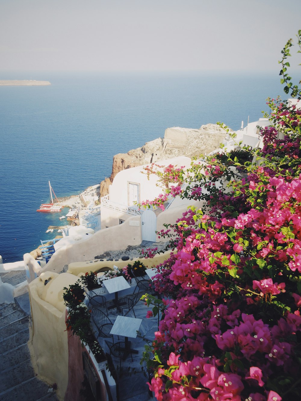 flowers near stairs and ocean at the distance