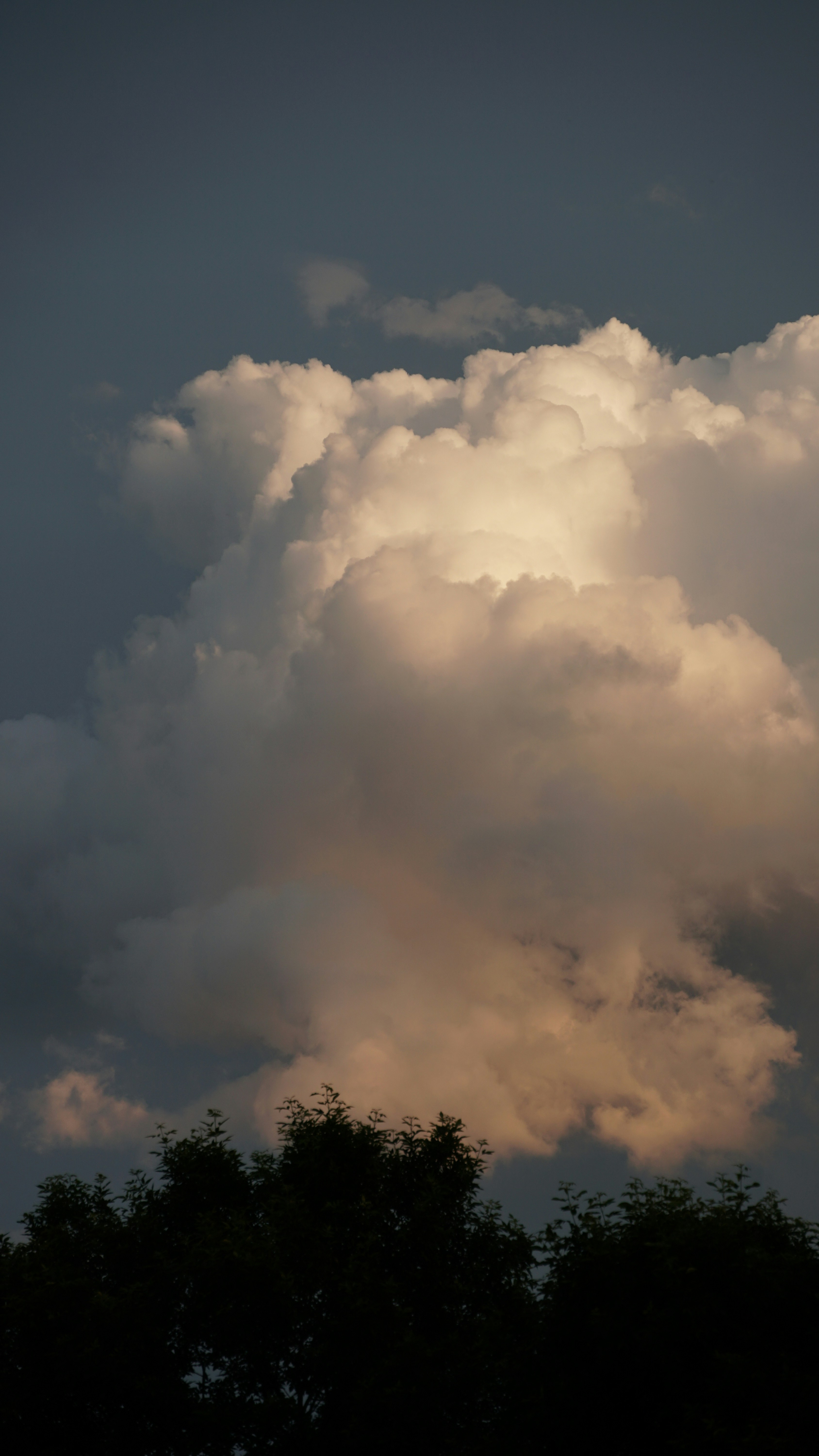 Photo by eternalseconds