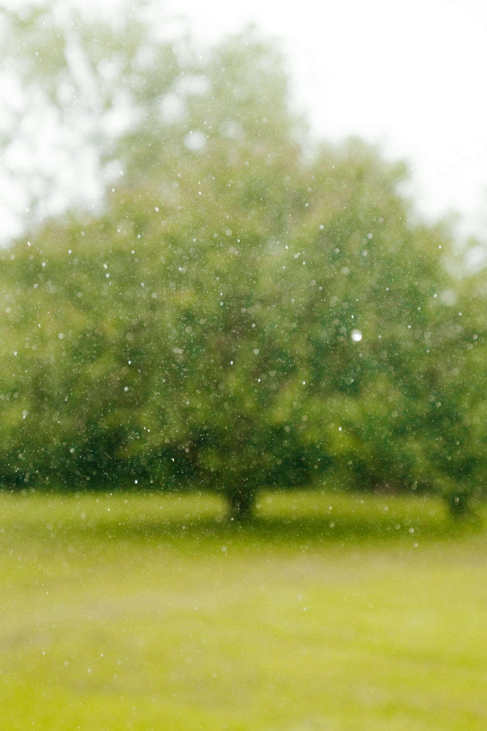 water dew on glass panel