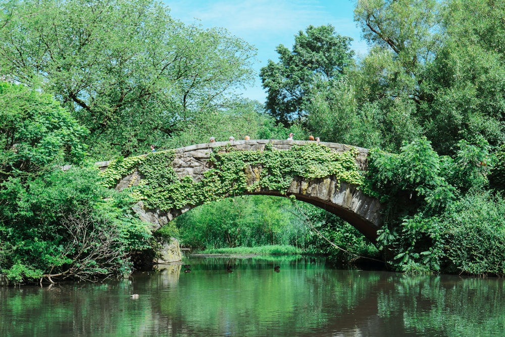 川に架かる灰色の岩橋