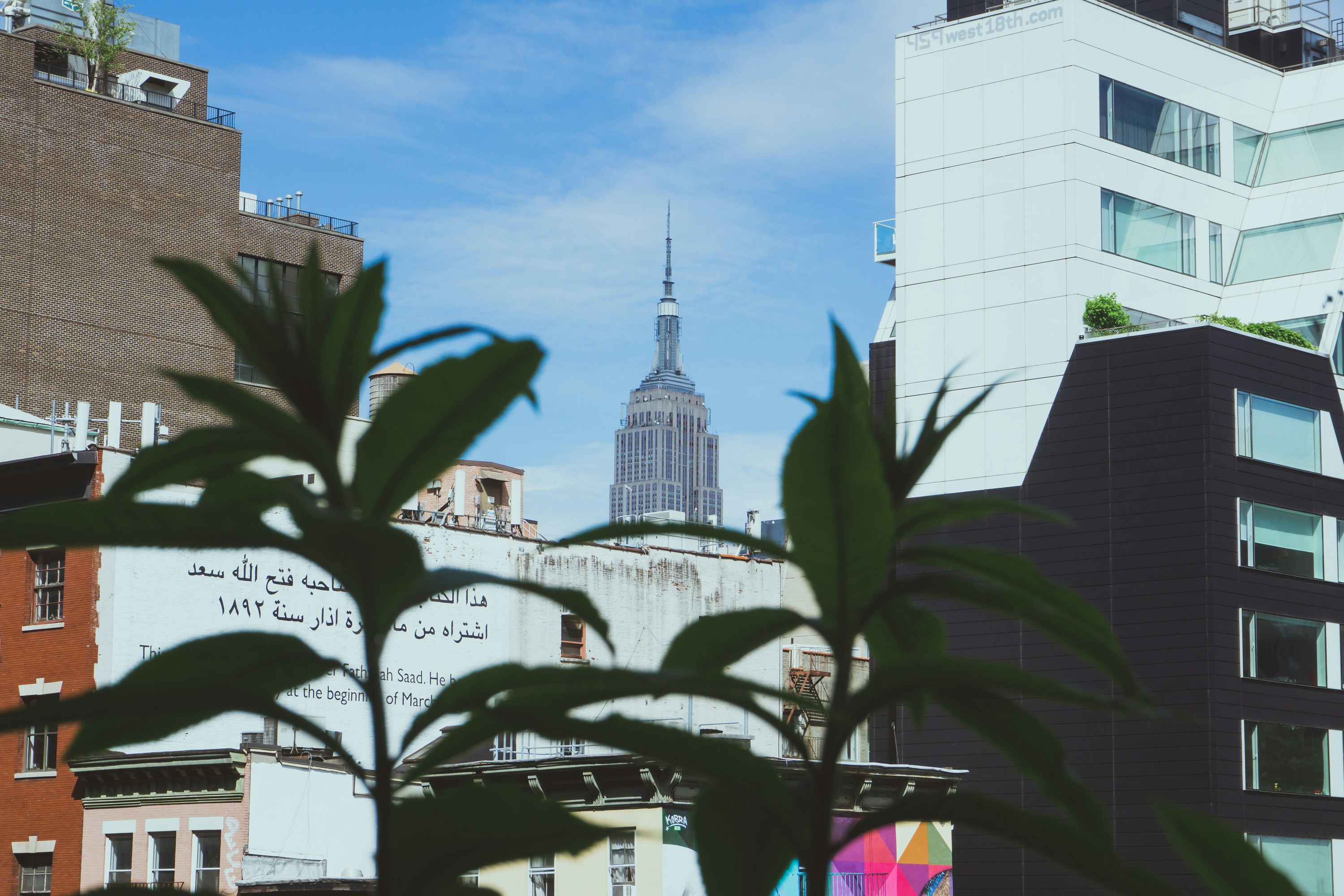 Henri Matisse: Lines of Connection, Works on Paper from the Pierre and Tana Matisse Foundation