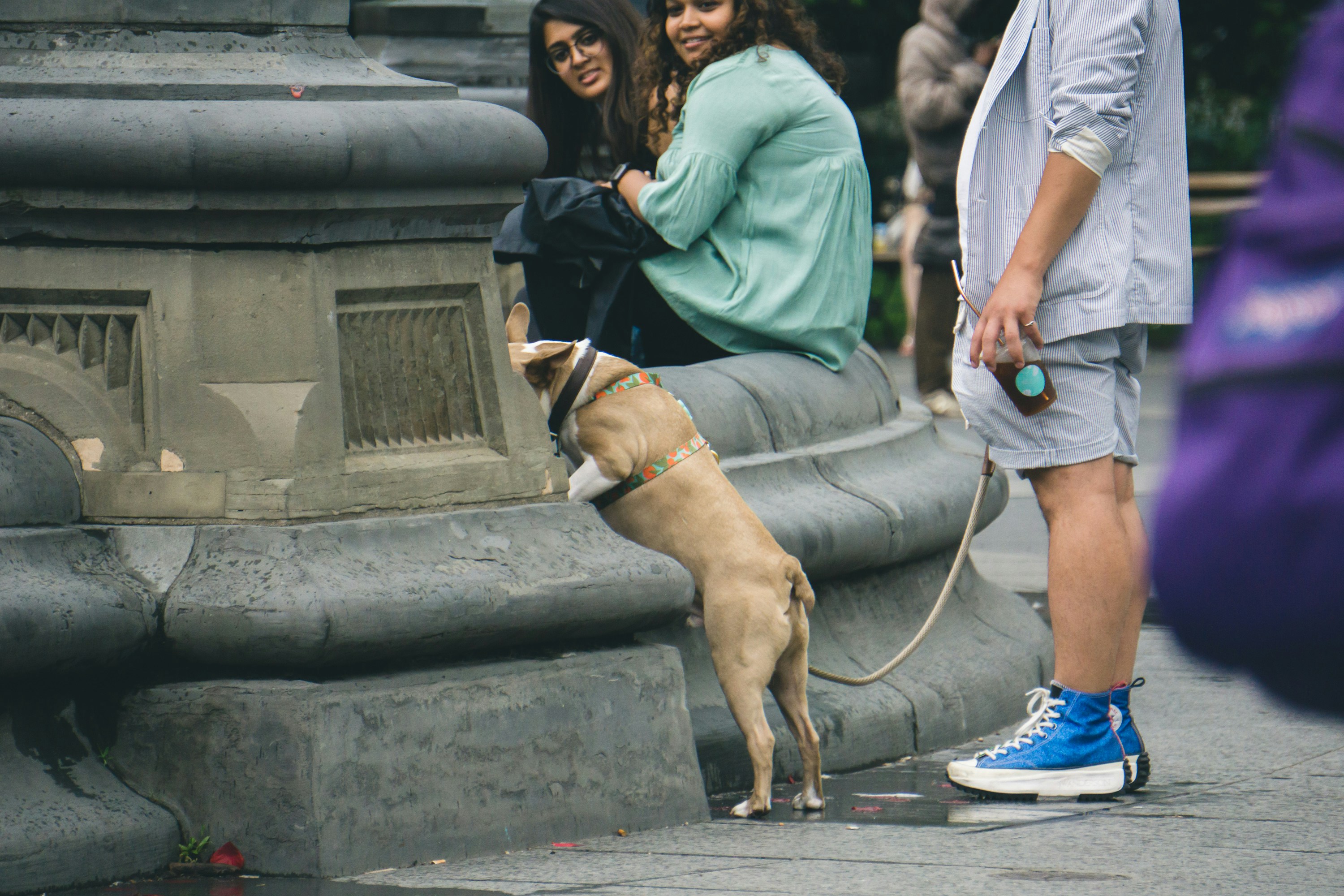 man standing beside dog with leash looking over concrete fountain