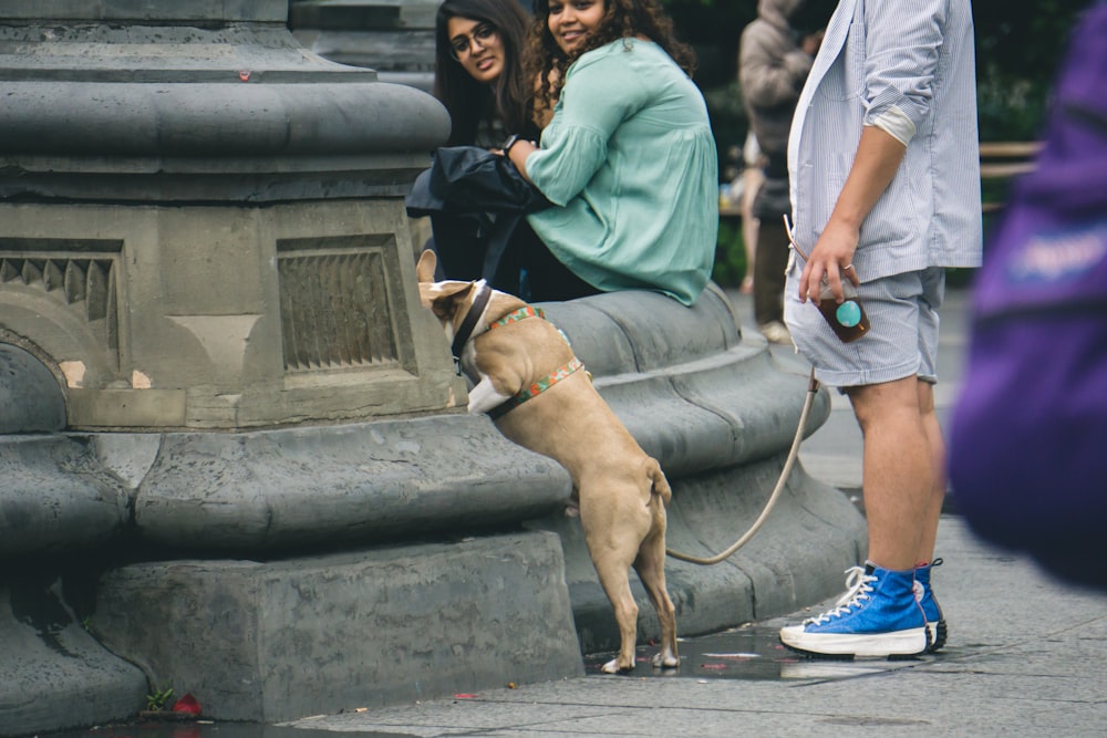 man standing beside dog with leash looking over concrete fountain