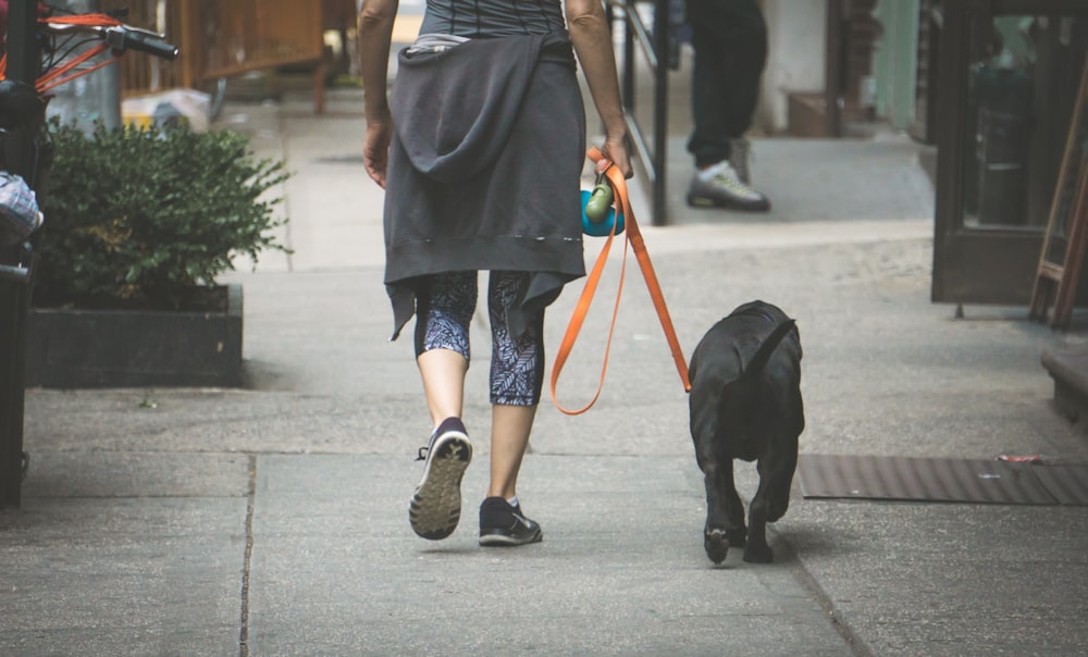 Person in blauen Jeans Skinny Jeans geht mit Hund spazieren