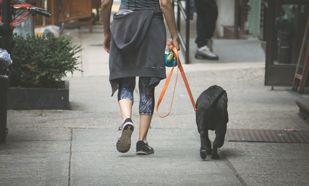 person in blue denim skinny jeans walking with dog