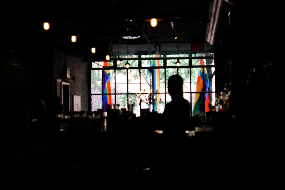 silhouette of person near window glass