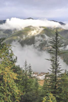 Jibhi valley cottages peeking through dense pine forests on a misty morning.
