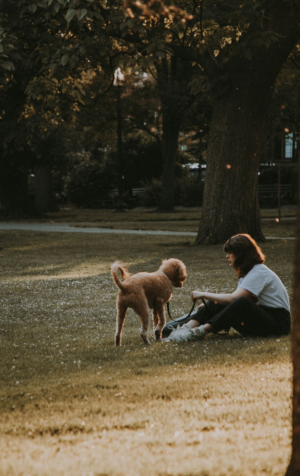 woman sitting on ground beside dog