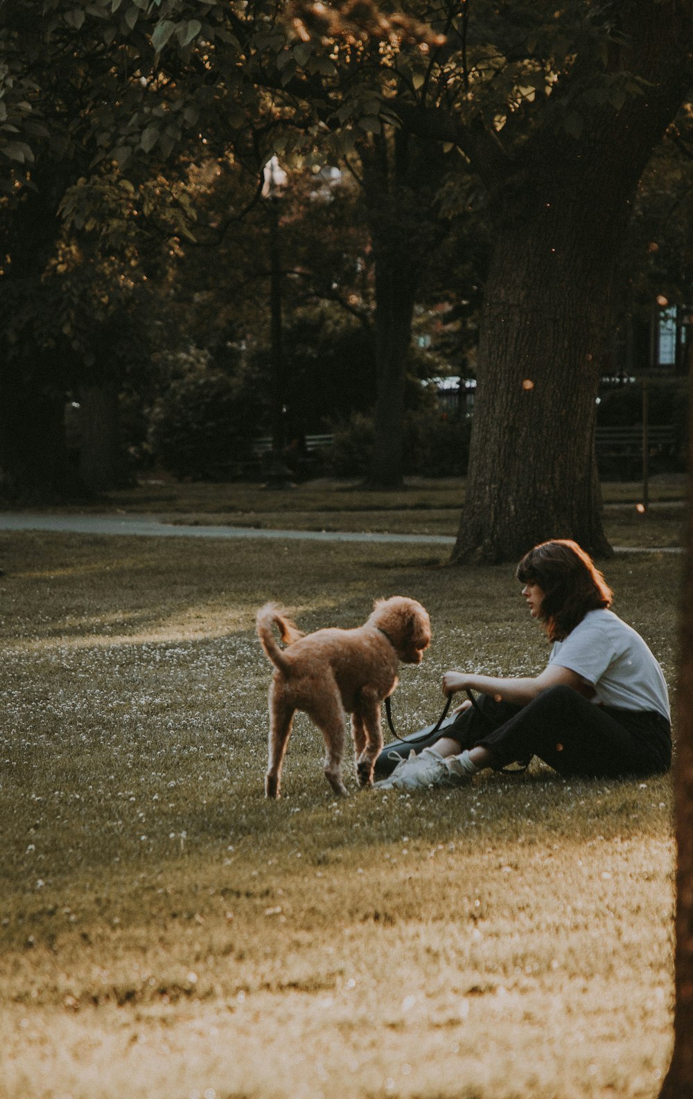 犬のそばの地面に座っている女性