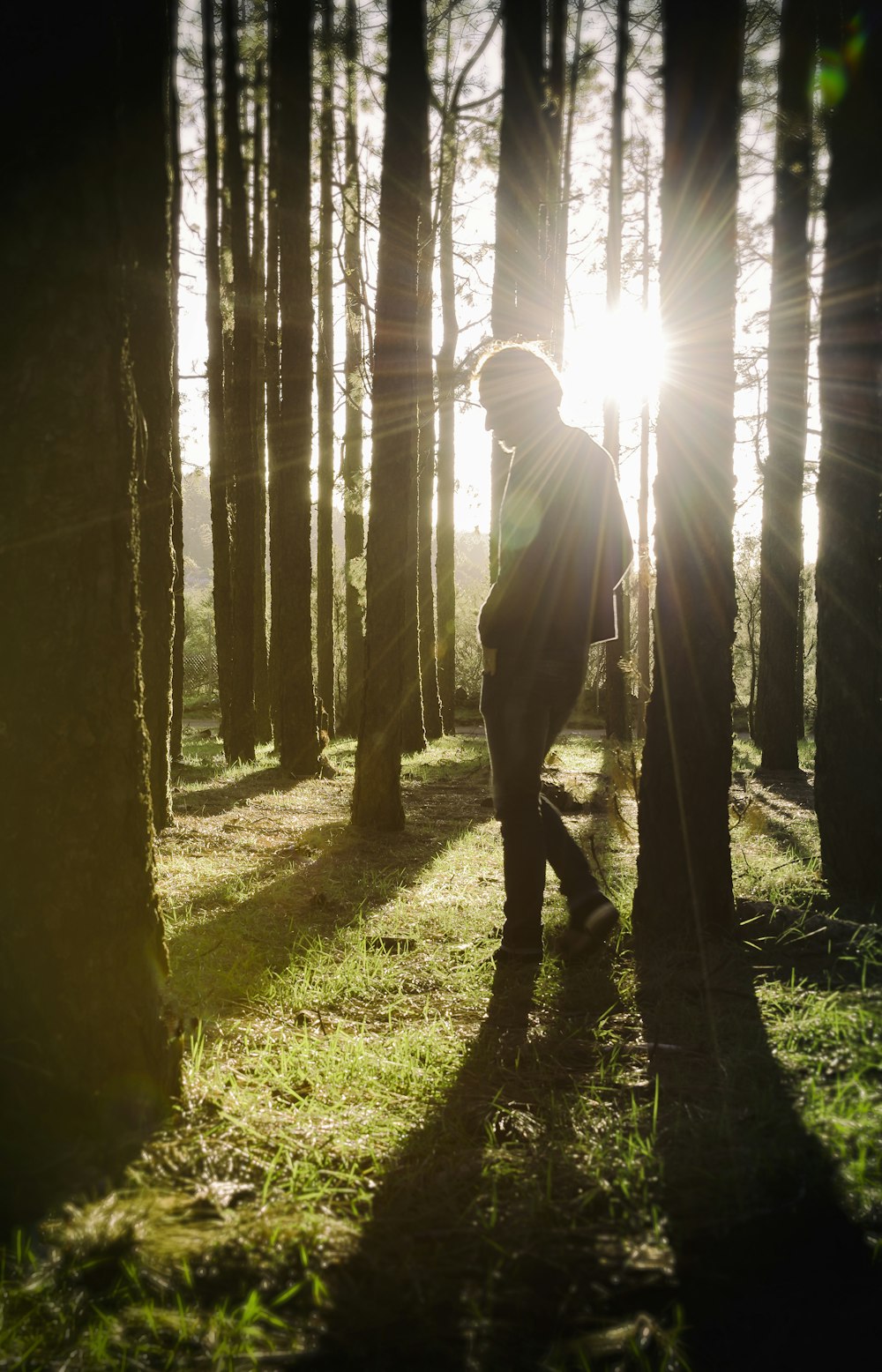 man walking in the woods