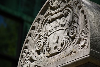 A detailed close-up of an ancient family crest carved in stone, showing intricate patterns and symbols.