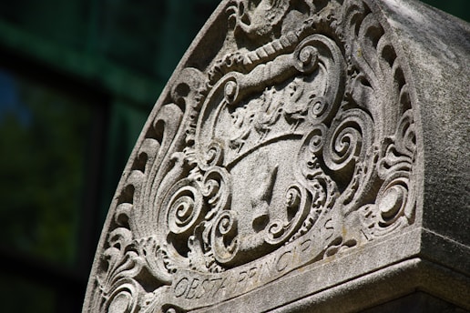 A detailed close-up of an ancient family crest carved in stone, showing intricate patterns and symbols.
