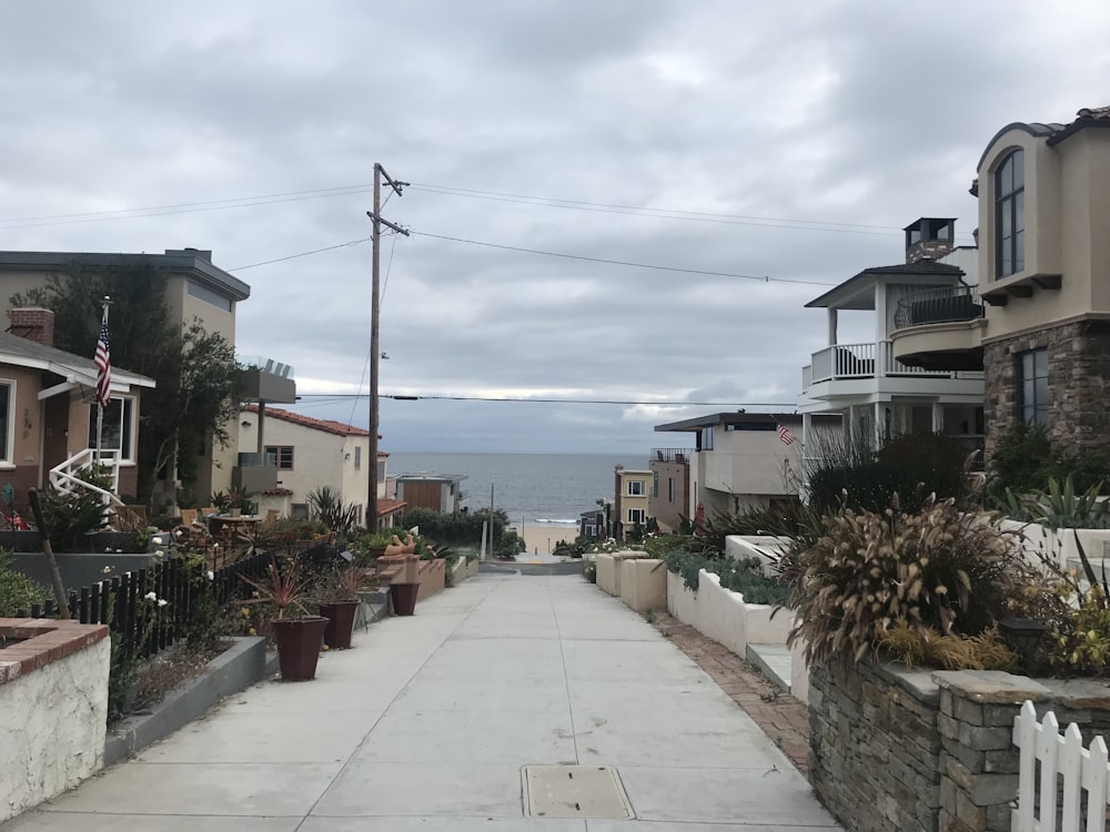 empty concrete pavement in between plants and houses