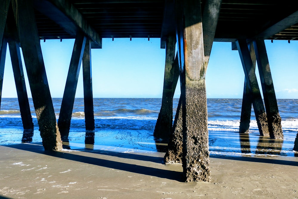 brown dock