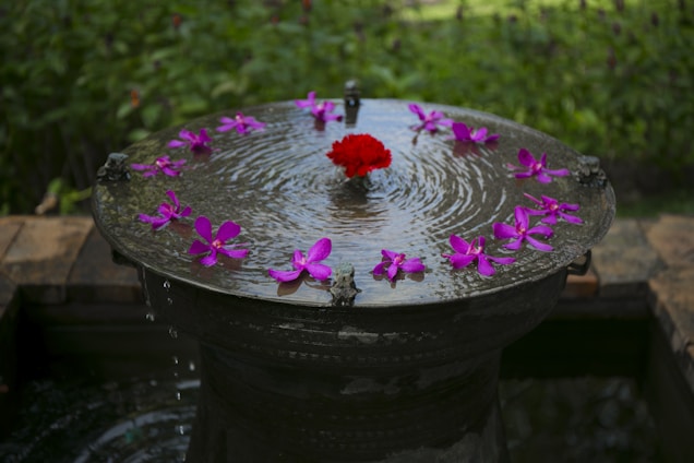 round black bird bath with purple petaled flowers