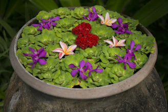 A vibrant tropical indoor plant in a handcrafted ceramic pot with artistic patterns.