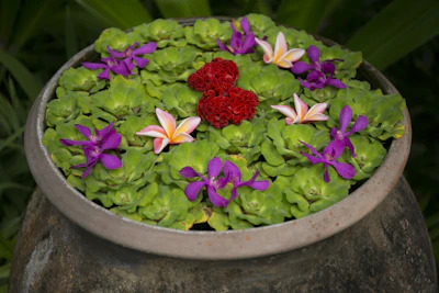 A vibrant tropical indoor plant in a handcrafted ceramic pot with artistic patterns.