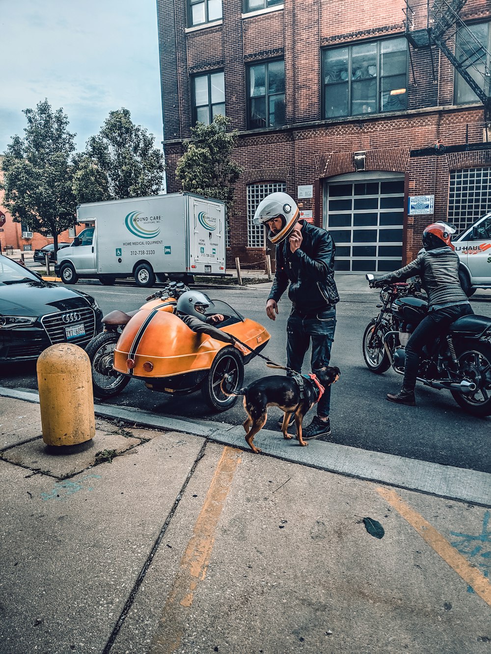 man standing beside dog on road