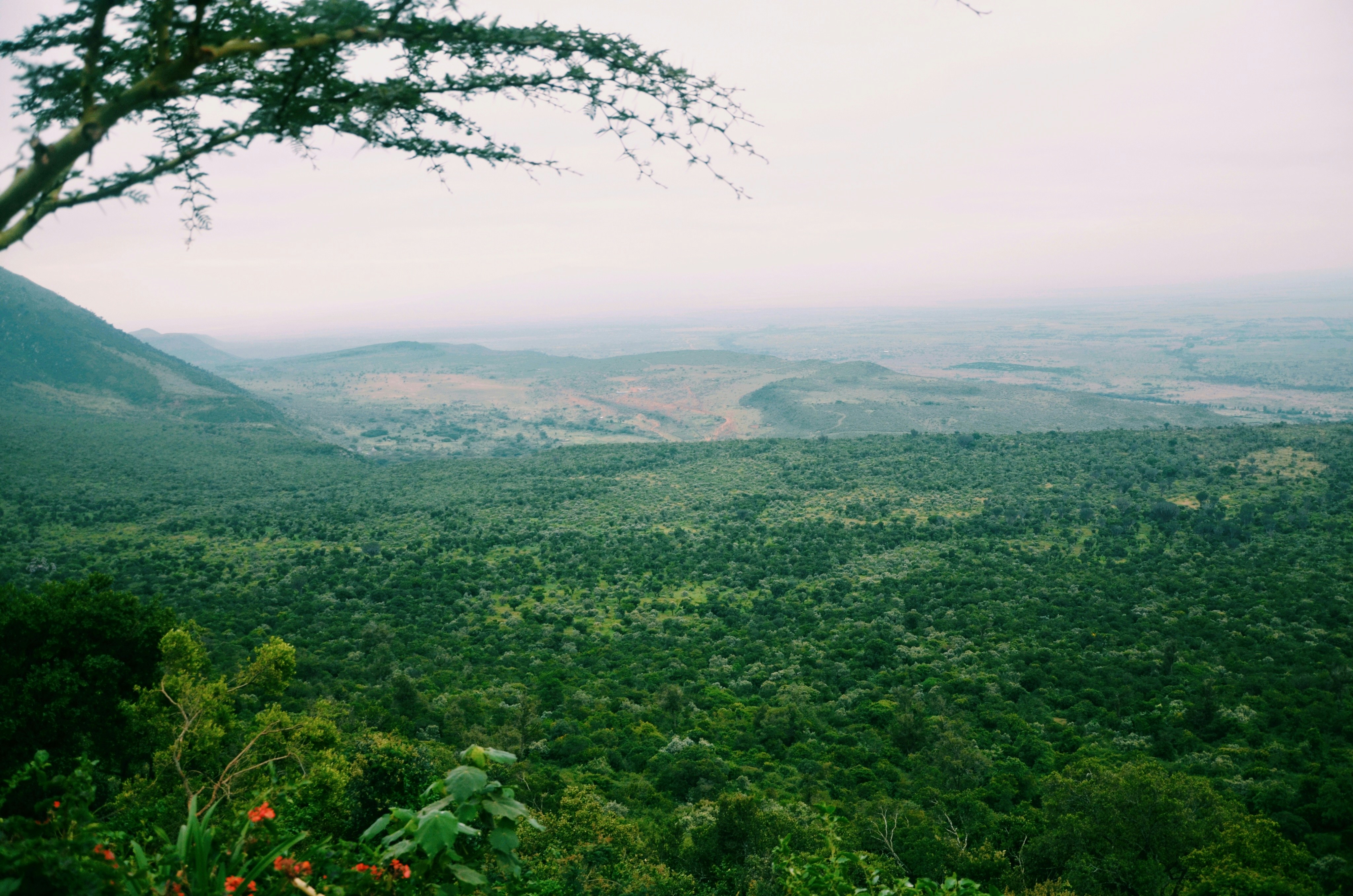 Photo by shubhamsharan