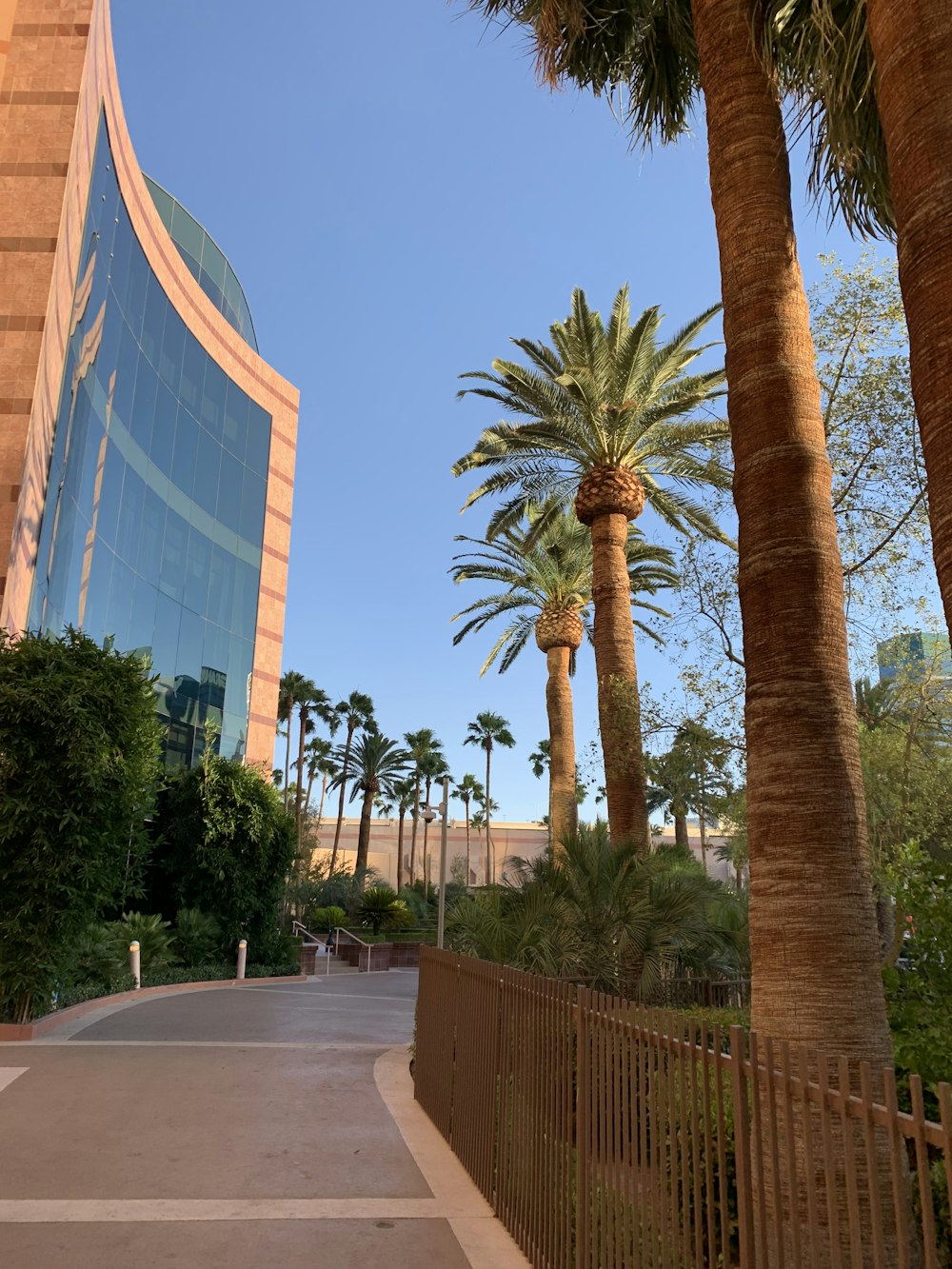 blue and brown glass walled building near palm trees and green field beside pathway under blue skies