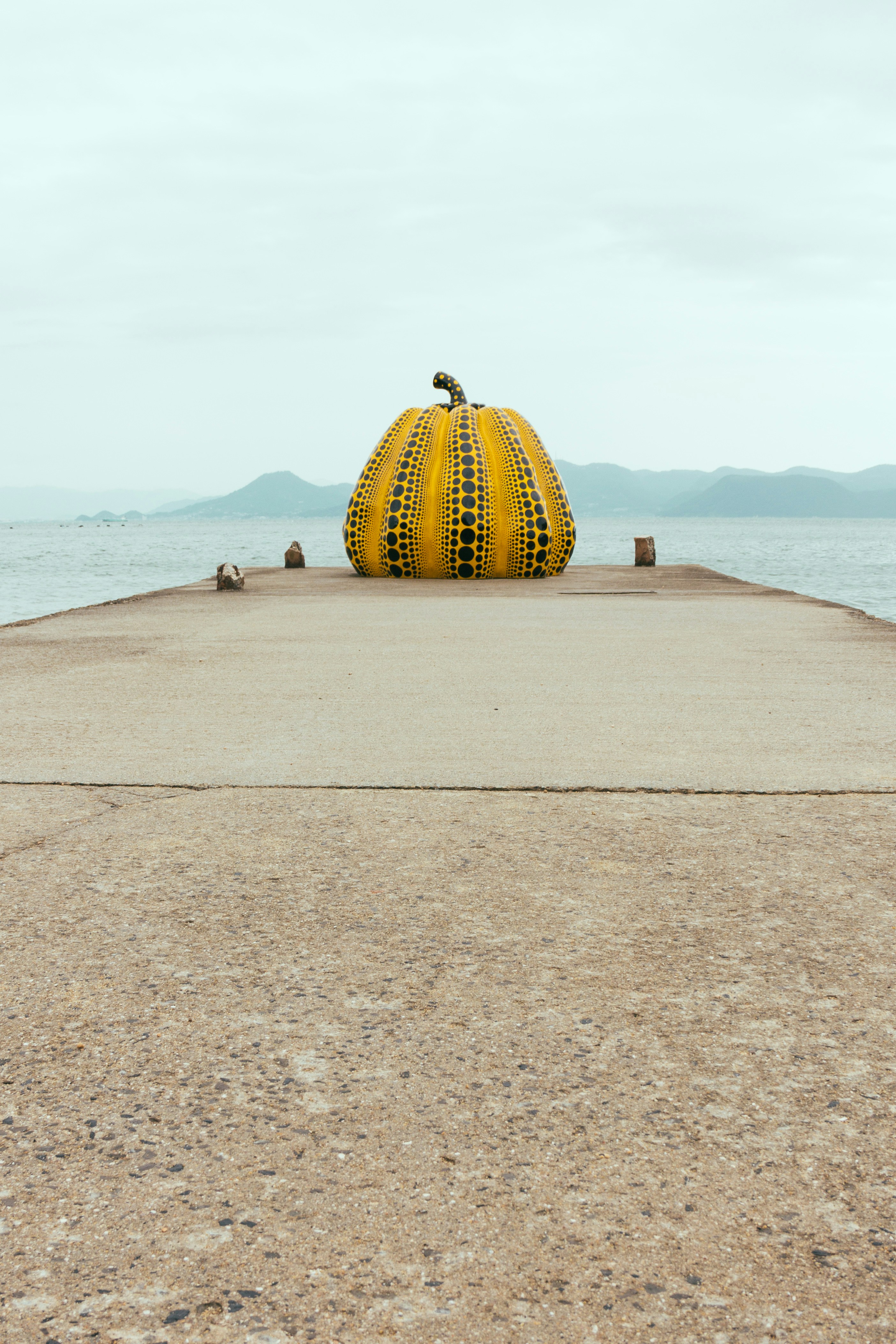 yellow fruit standee beside sea