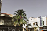Wide shot of a street in Asmara showcasing eclectic building styles.